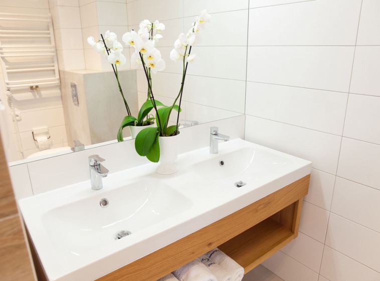 Apartament Wschodni Podw&oacute;jna umywalka?v=1.0