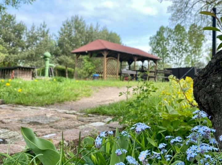 Strusia Farma - KniewoWiata piknikowa Strusia Farma Kniewo