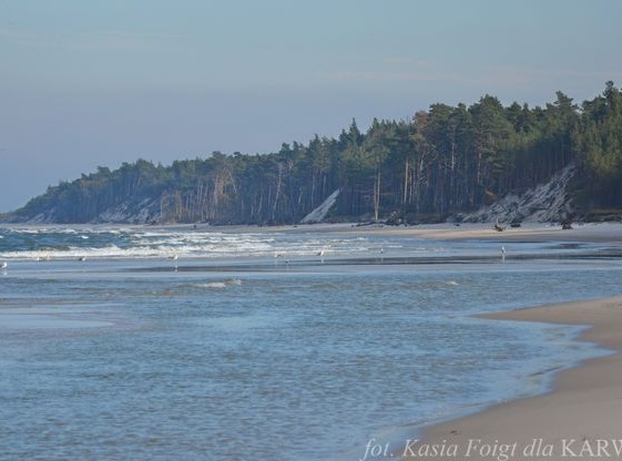 Plaża między Karwią a Dębkami 