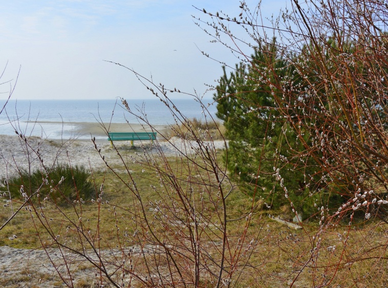 OBIEKT TESTOWY ?v=1.0